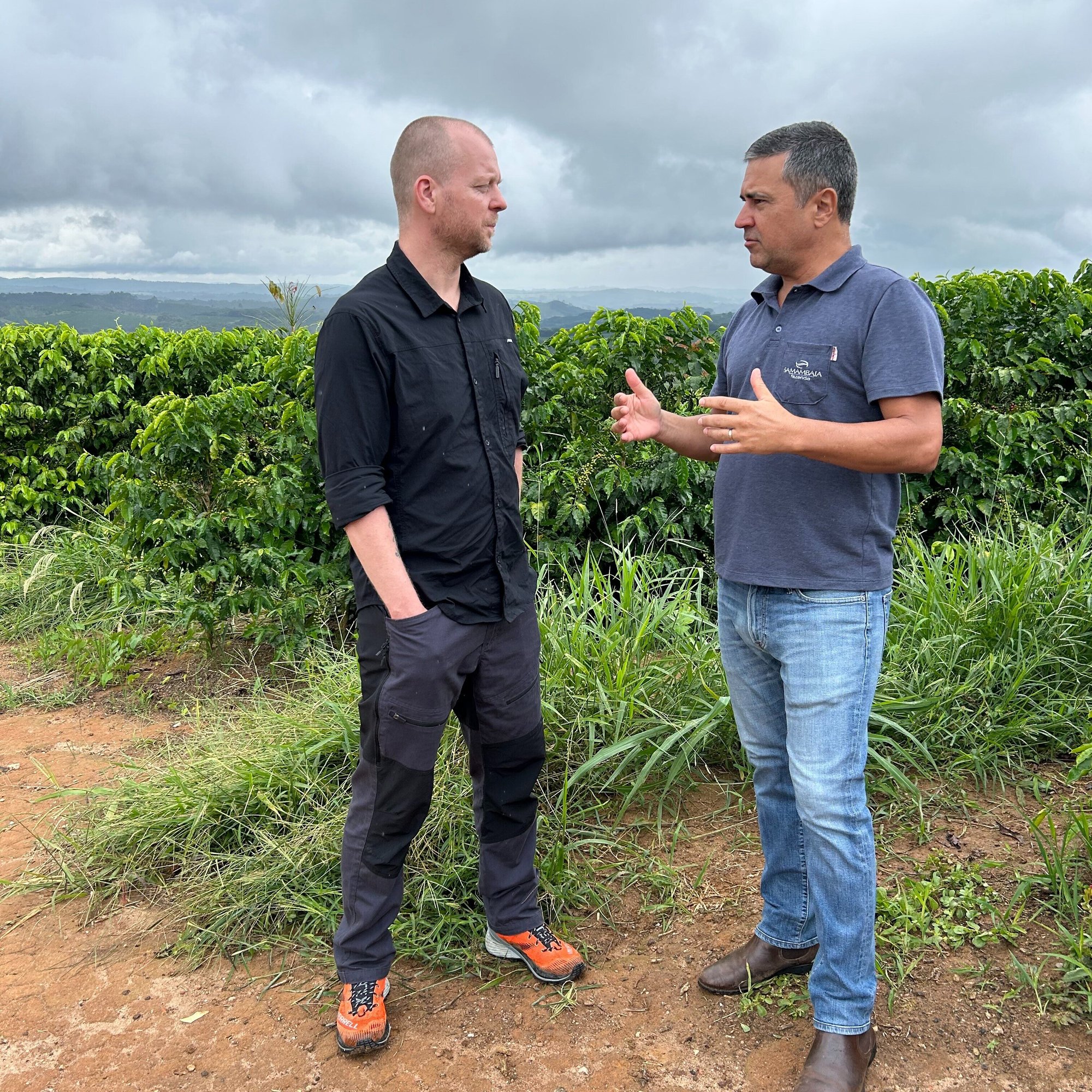 IMG_5758 - Lindy Brogaard-1