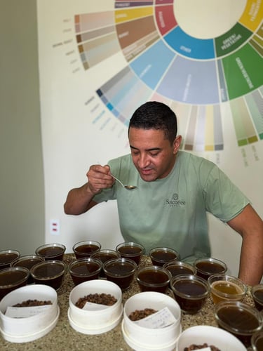 f3f68162-7313-4ff2-94a6-920e363056ef