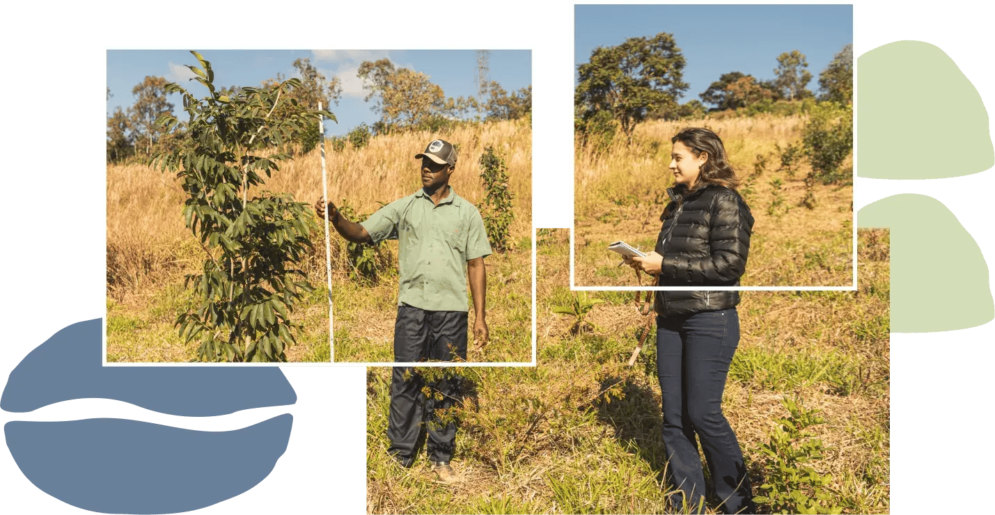 sancoffee_collage_vertical_4